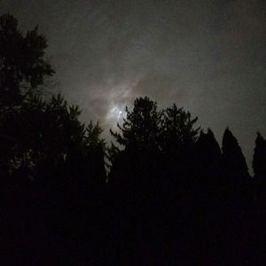 Meet your Posher, Sally